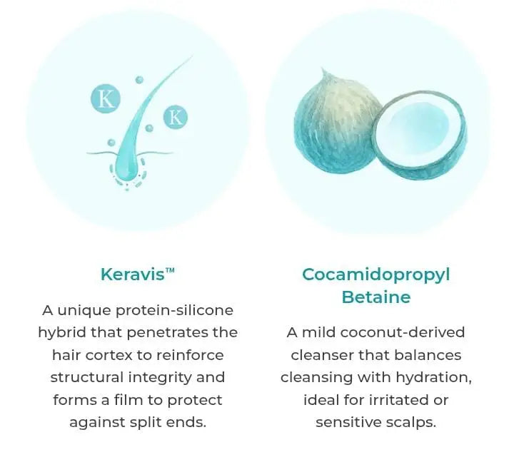 Cellcense Max Hiar (Anti-Danduff Shampoo)