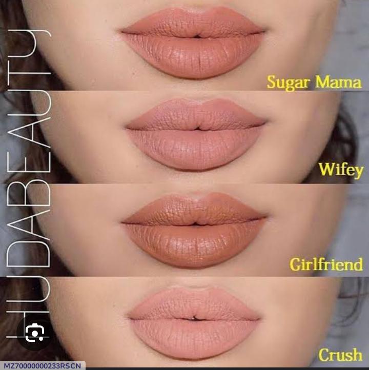 Premium Nude Lip Gloss Set 4 Shades Long Lasting